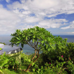 anamaya swimming pool