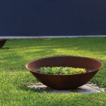 Library resort design