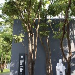 library resort building