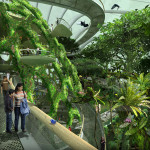 outdoor garden design